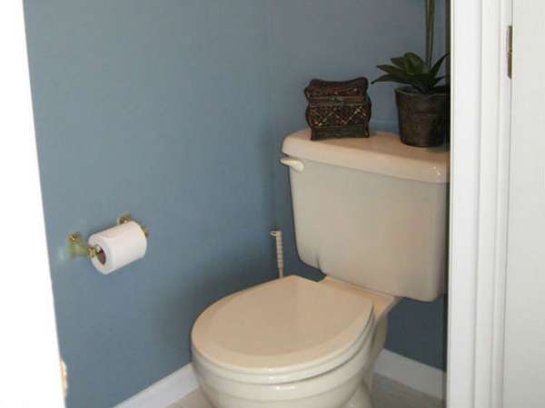 Особенности покраски туалетной комнаты в квартире - фото