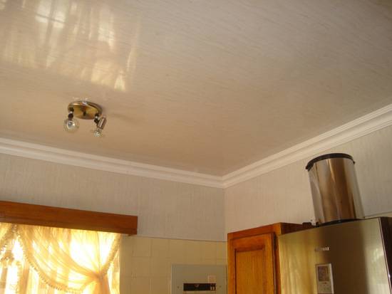 Пластиковый потолок на кухне - фото